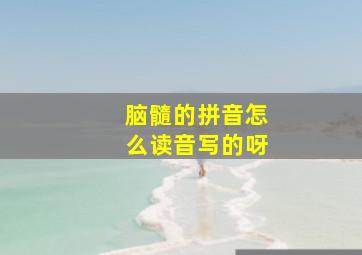 脑髓的拼音怎么读音写的呀