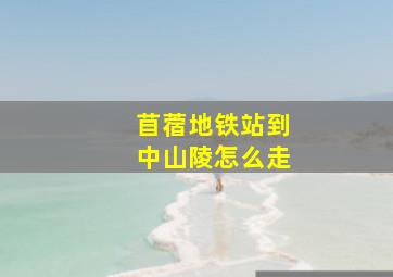 苜蓿地铁站到中山陵怎么走