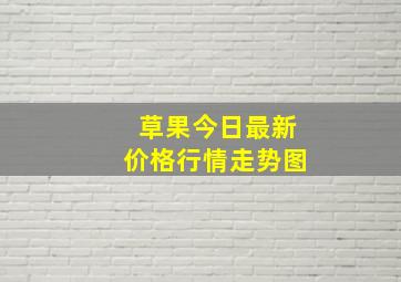 草果今日最新价格行情走势图