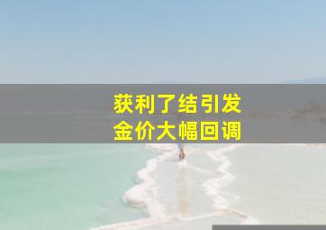 获利了结引发金价大幅回调