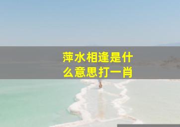 萍水相逢是什么意思打一肖