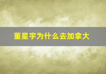 董星宇为什么去加拿大