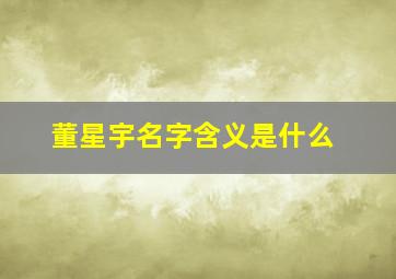 董星宇名字含义是什么