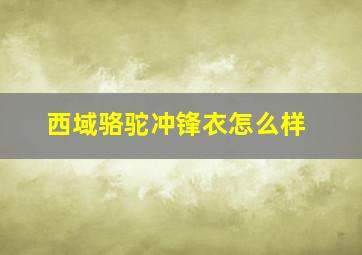 西域骆驼冲锋衣怎么样