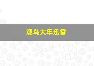 观鸟大年迅雷