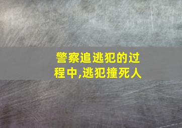 警察追逃犯的过程中,逃犯撞死人