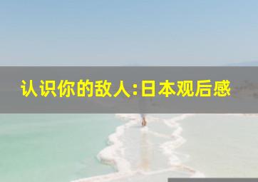 认识你的敌人:日本观后感