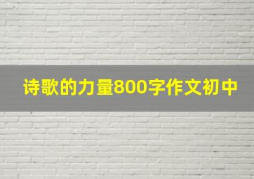 诗歌的力量800字作文初中