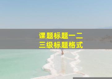 课题标题一二三级标题格式