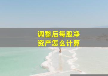 调整后每股净资产怎么计算