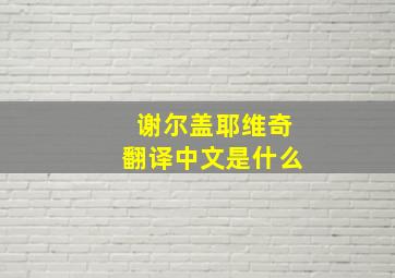 谢尔盖耶维奇翻译中文是什么