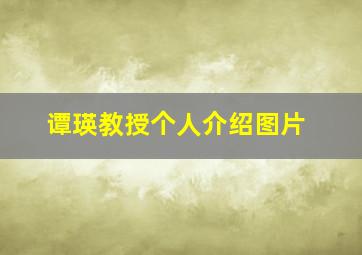 谭瑛教授个人介绍图片