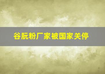 谷朊粉厂家被国家关停