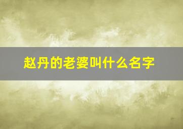 赵丹的老婆叫什么名字