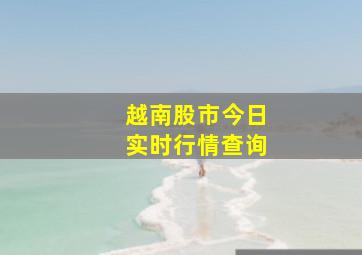 越南股市今日实时行情查询