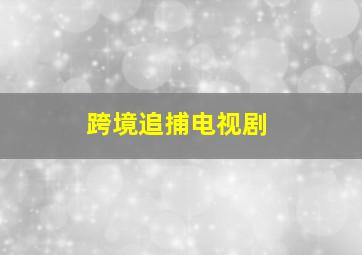 跨境追捕电视剧