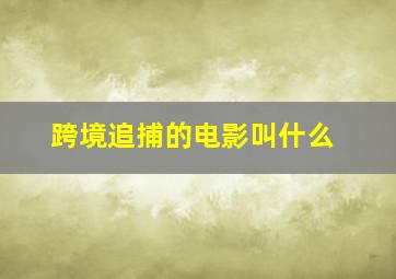 跨境追捕的电影叫什么