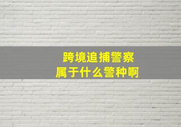 跨境追捕警察属于什么警种啊