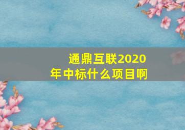 通鼎互联2020年中标什么项目啊