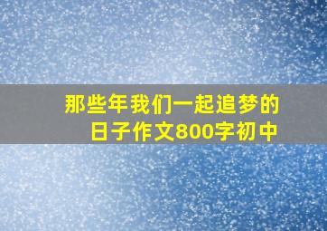 那些年我们一起追梦的日子作文800字初中