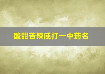 酸甜苦辣咸打一中药名