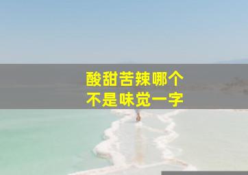 酸甜苦辣哪个不是味觉一字