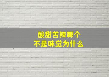 酸甜苦辣哪个不是味觉为什么