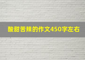 酸甜苦辣的作文450字左右