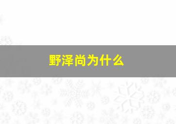 野泽尚为什么