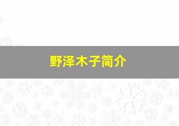 野泽木子简介