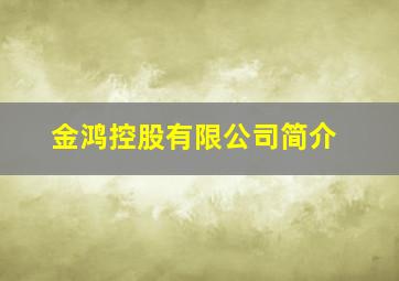 金鸿控股有限公司简介