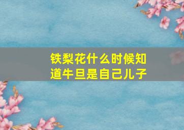 铁梨花什么时候知道牛旦是自己儿子