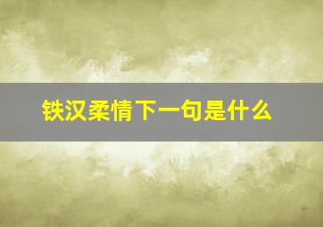 铁汉柔情下一句是什么