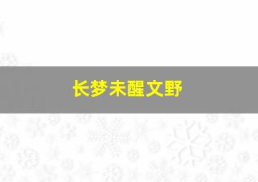 长梦未醒文野