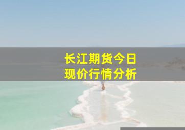 长江期货今日现价行情分析