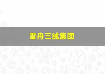 雪舟三绒集团