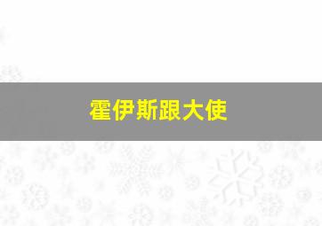 霍伊斯跟大使