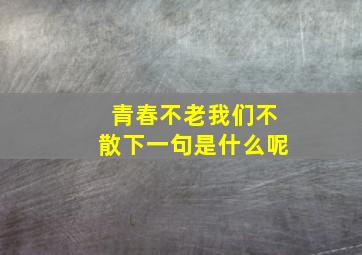 青春不老我们不散下一句是什么呢