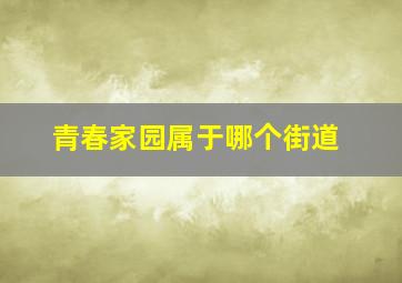 青春家园属于哪个街道