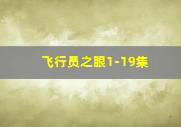 飞行员之眼1-19集