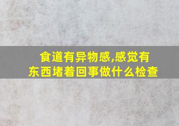 食道有异物感,感觉有东西堵着回事做什么检查