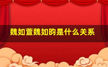 魏如萱魏如昀是什么关系