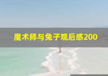 魔术师与兔子观后感200