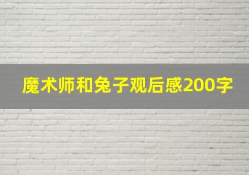 魔术师和兔子观后感200字