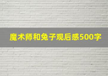 魔术师和兔子观后感500字