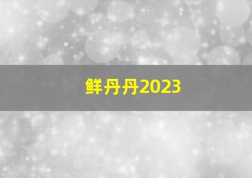 鲜丹丹2023