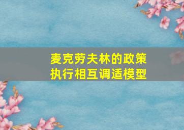 麦克劳夫林的政策执行相互调适模型