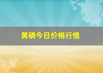 黄磷今日价格行情