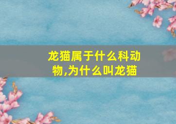 龙猫属于什么科动物,为什么叫龙猫