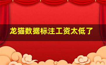 龙猫数据标注工资太低了